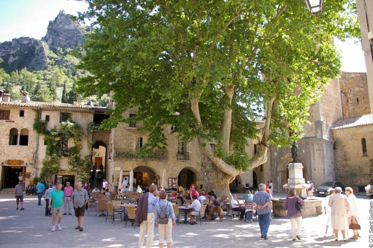 "Le Patio"-Meuble De Tourisme 3 Etoiles -Residence "Les Logis De Beziers"-Garage Optionnel-Coeur De Ville-Plages A 16Km ! Exteriör bild