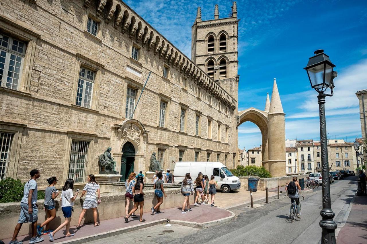 "Le Patio"-Meuble De Tourisme 3 Etoiles -Residence "Les Logis De Beziers"-Garage Optionnel-Coeur De Ville-Plages A 16Km ! Exteriör bild